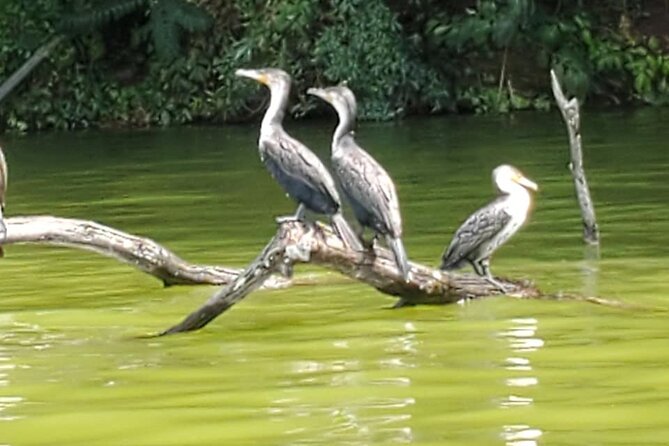Private Canoe or Hike Tour on Lake Duluti - Lake Duluti is made for a quieter morning or afternoon