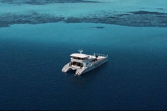 Private Catamaran - Stone Town Islands & Sandbanks (5 hrs) - Returning to Stone Town at sunset
