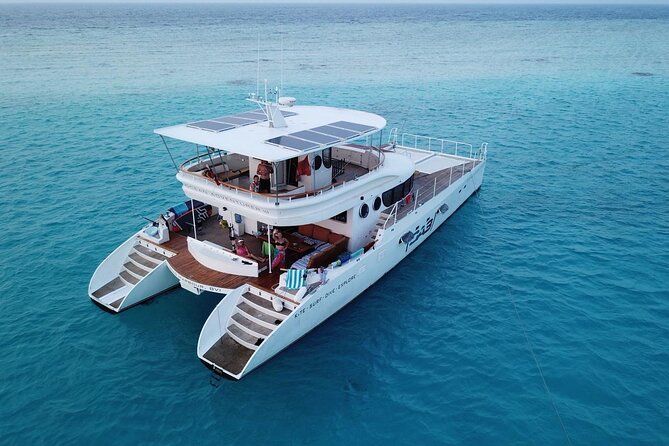 Private Catamaran - Stone Town Islands & Sandbanks (5 hrs) - Lunch on board is a real part of the value