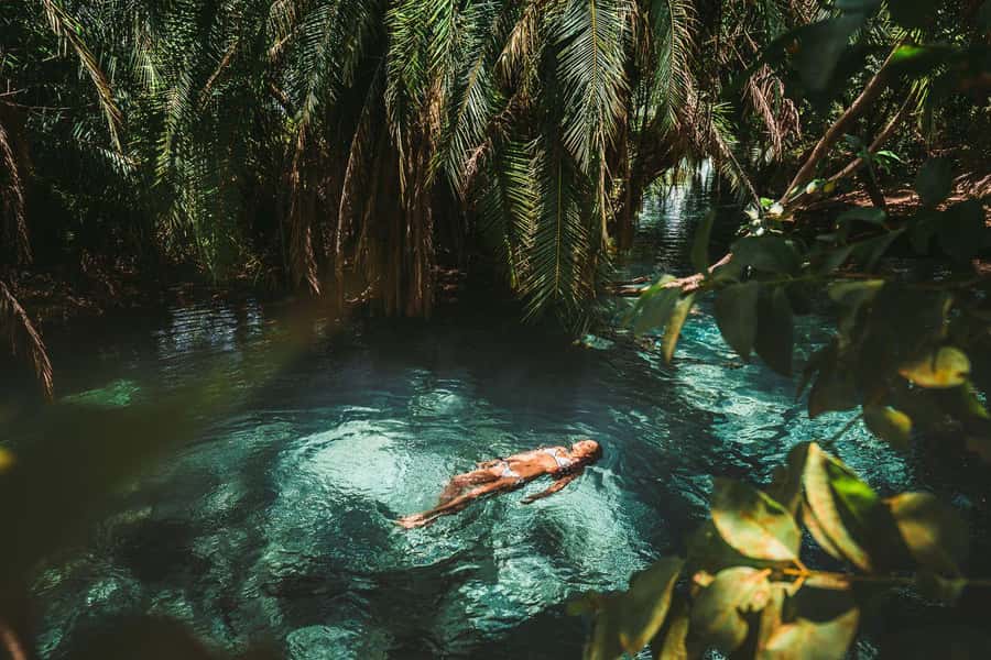 Private Chemka/Kikuletwa hotsprings with lunch & drinks - Why Chemka feels so unexpected