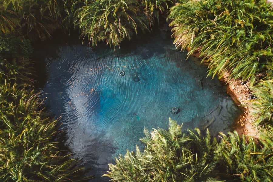 Private Chemka/Kikuletwa hotsprings with lunch & drinks - The road from Arusha or Moshi to Bomang’ombe