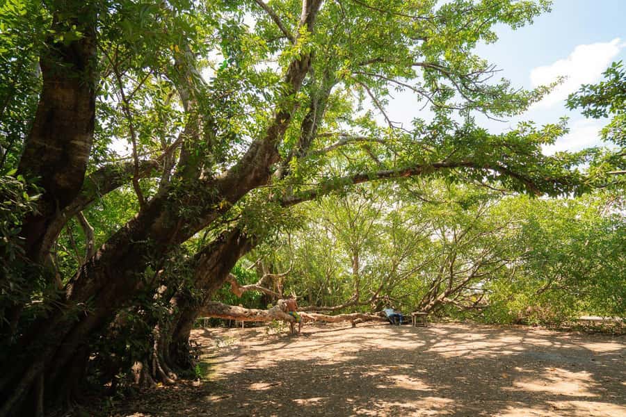 Private Chemka/Kikuletwa hotsprings with lunch & drinks - A hot lunch and one local beer