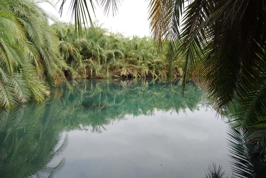 Private Chemka/Kikuletwa hotsprings with lunch & drinks - Who will enjoy this day most
