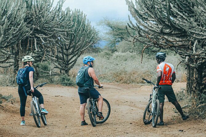 Private Cycle to Kilimanjaro Bike Park Safari - Key points to know before booking