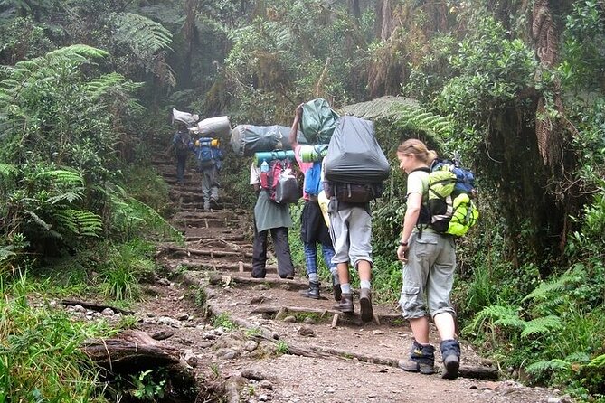 Private Day Tour Kilimanjaro Hike - Who will get the most from this experience?