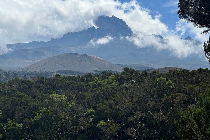 Private Day Tour Kilimanjaro Hike - Guide quality and the private advantage