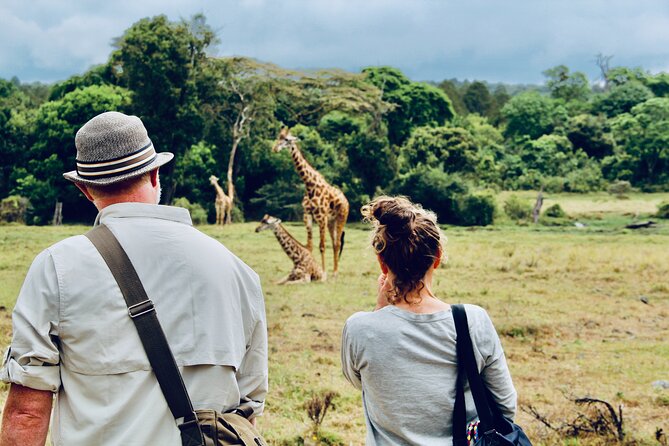 Private Day Trip to Arusha National Park with a Walking Safari - Key points at a glance