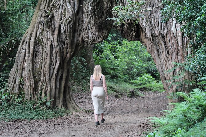 Private Day Trip to Arusha National Park with a Walking Safari - The walking safari and the route to the waterfall