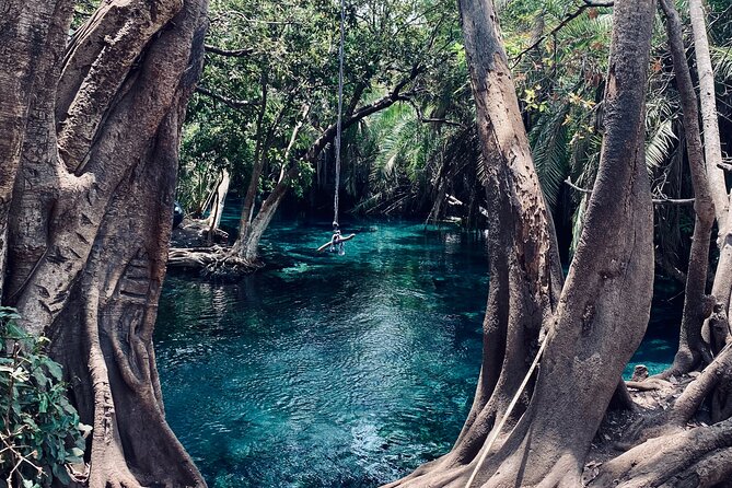Private Day Trip to Kikuletwa Hot Springs in Kilimanjaro - Who will enjoy this day trip most
