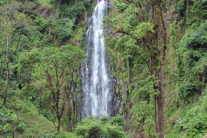 Private Day Trip to Materuni Waterfall and Coffee Tour - Key points at a glance