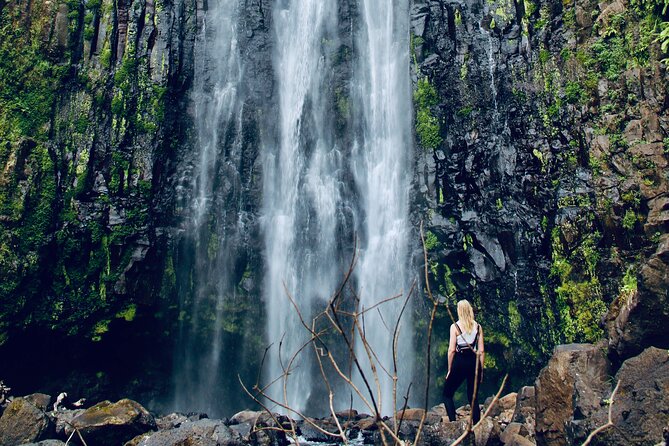 Private Day Trip to Materuni Waterfall and Coffee Tour - Guides, pace, and the feel of the day