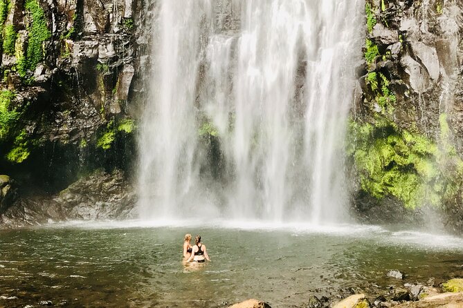 Private Day Trip to Materuni Waterfall and Coffee Tour - Who should book this experience