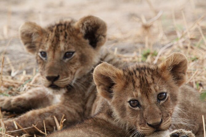 Private Day Trip to Tarangire National Park - The 7:00 am pickup and the long road from Moshi