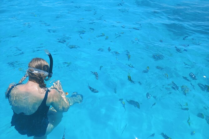 Private Dolphin Tour and Snorkeling at Mnemba Island reef - The sandbank finale near Mnemba