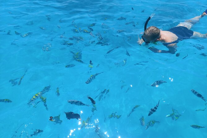 Private Dolphin Tour and Snorkeling at Mnemba Island reef - Guides, boats, and the quality of the morning