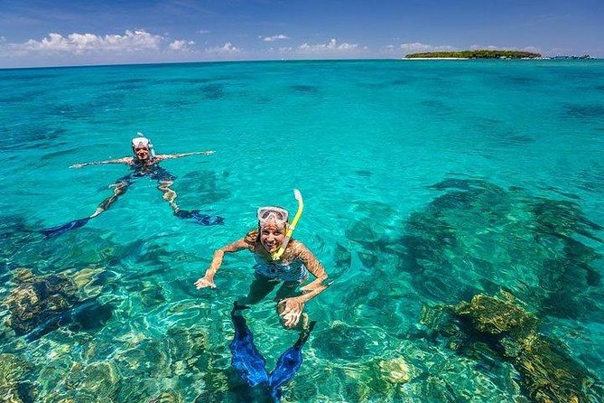 Private Dolphin Tour and Snorkeling at Mnemba Island reef - Who will enjoy this Mnemba excursion