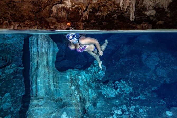 Private Full-Day: Dolphin & Monkey Jungle Adventure - Why this combination works for a Zanzibar day