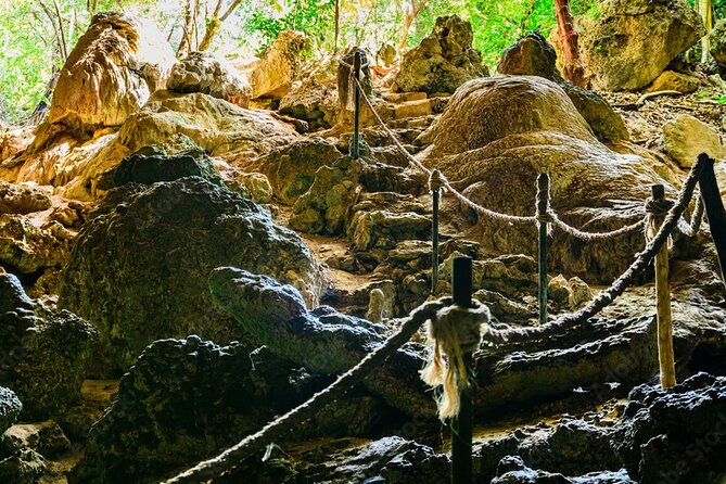 Private Full-Day: Dolphin & Monkey Jungle Adventure - Private transport and the pace of the day