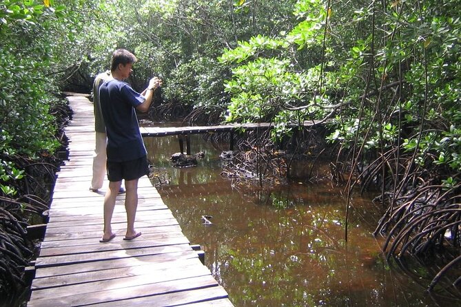 Private Full-Day: Dolphin & Monkey Jungle Adventure - Food, price, and what you receive