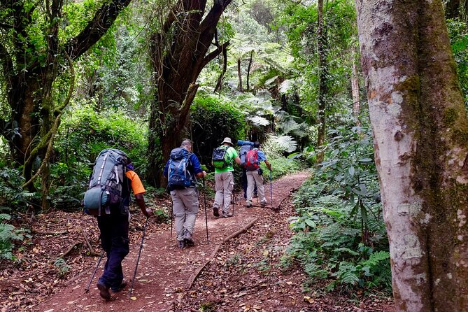 Private Full Day Hiking Experience to Marangu Route - The descent back to the main gate