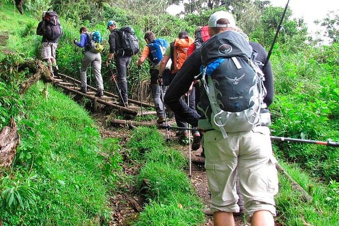 Private Full Day Hiking Experience to Marangu Route - What the $260 price covers