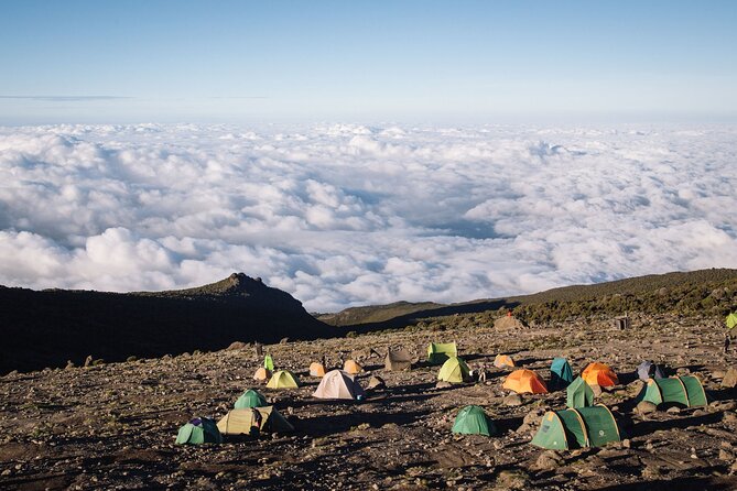 Private Full Day Hiking Experience to Marangu Route - Who will enjoy this experience most