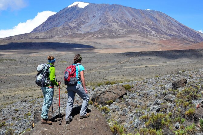 Private Full Day Hiking Experience to Marangu Route - Walking through Kilimanjaro’s lower rainforest
