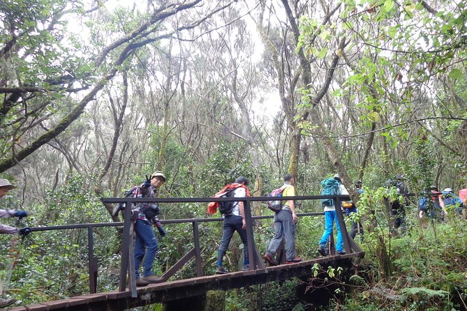 Private Full-Day Hiking Tour in Mount Kilimanjaro - Key points about the Marangu Gate day hike