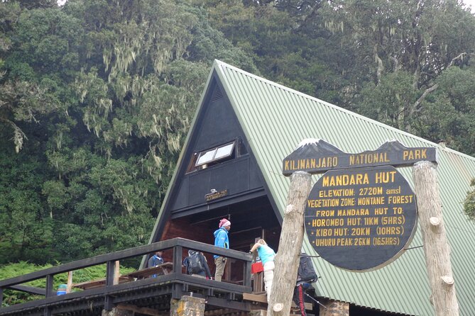 Private Full-Day Hiking Tour in Mount Kilimanjaro - The first steps into Kilimanjaro rainforest