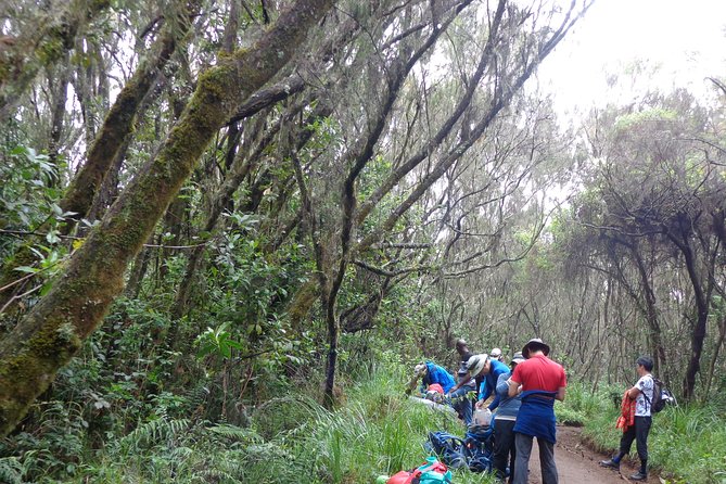Private Full-Day Hiking Tour in Mount Kilimanjaro - Lunch, water, and what the price really covers