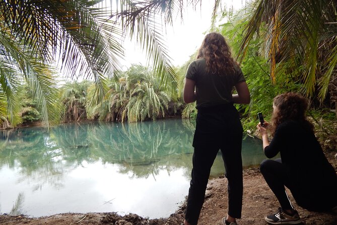 Private Full-Day Materuni Waterfall, Coffee and Hot-spring Tour in Moshi - A Full Day Between Kilimanjaro Foothills and Spring Water