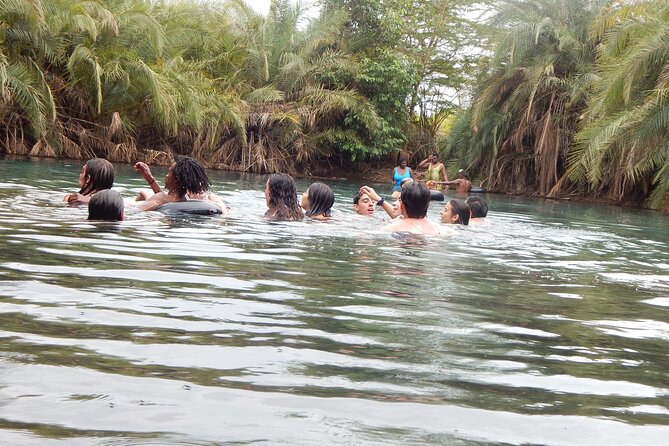 Private Full-Day Materuni Waterfall, Coffee and Hot-spring Tour in Moshi - What the $95 Price Covers