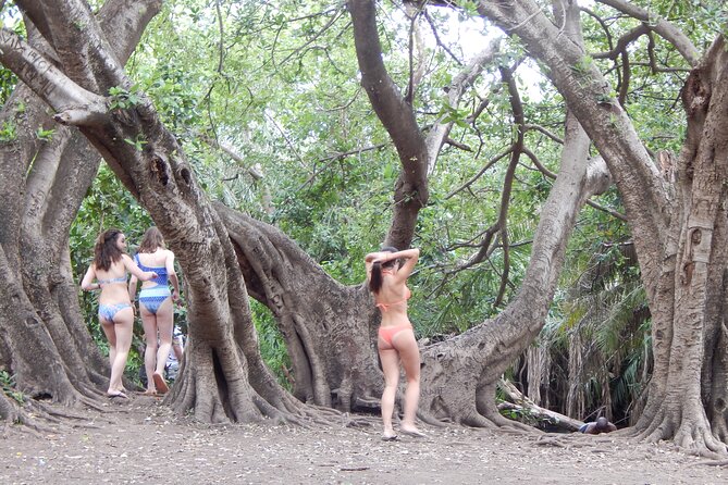 Private Full-Day Materuni Waterfall, Coffee and Hot-spring Tour in Moshi - Who Should Book This Moshi Day Tour