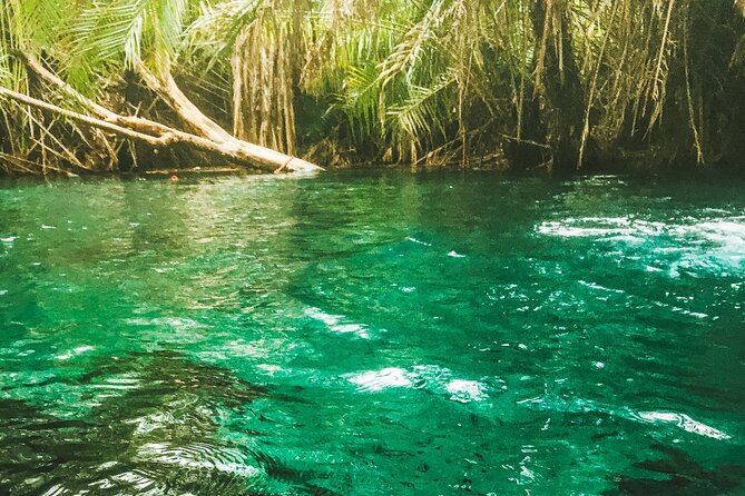 Private Full-Day Materuni Waterfalls and Kikuletwa Hotspring - Key points at a glance