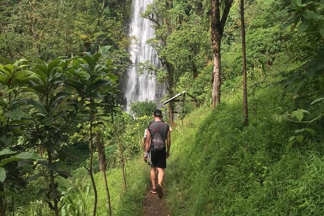 Private Full-Day Materuni Waterfalls and Kikuletwa Hotspring - Why this Arusha day trip works so well