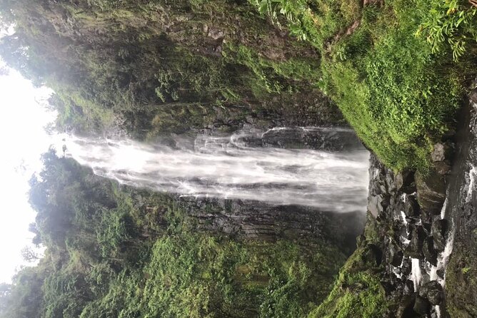 Private Full-Day Materuni Waterfalls and Kikuletwa Hotspring - What the strongest praise tells you