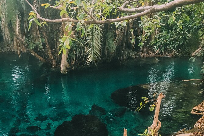 Private Full-Day Materuni Waterfalls and Kikuletwa Hotspring - Making coffee in a nearby village