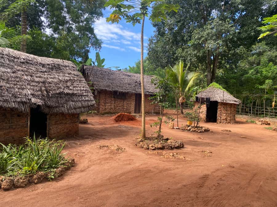 Private Full Day Trip Exploring Zanzibar Nature - Why this Zanzibar nature trip feels different