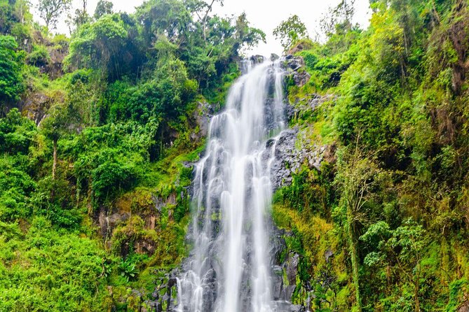 Private Full-Day Trip to Materuni Waterfalls - Why Materuni makes a smart Moshi day trip