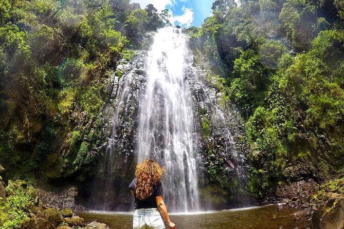 Private Full-Day Trip to Materuni Waterfalls - Walking through rainforest and Chagga farms