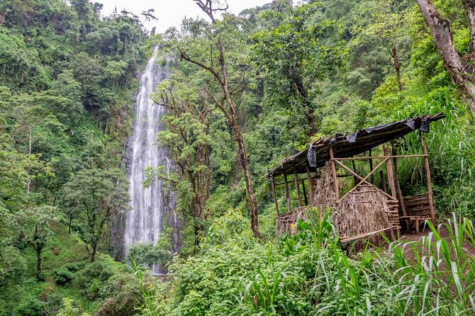 Private Full-Day Trip to Materuni Waterfalls - Is $68.75 good value?