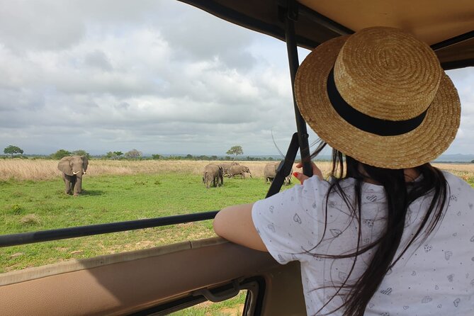 Private Full-Day Trip to Mikumi National Park from Dar es Salaam - Key points to know before booking