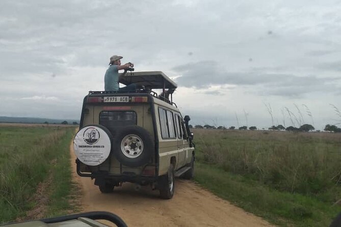 Private Full-Day Trip to Mikumi National Park from Dar es Salaam - What the private format changes