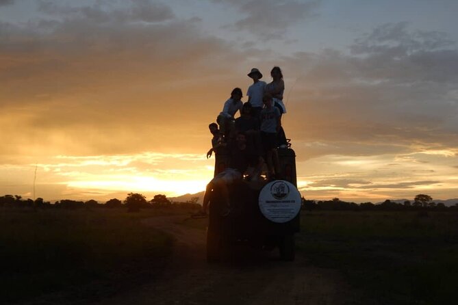 Private Full-Day Trip to Mikumi National Park from Dar es Salaam - The 4:00 PM return and late arrival