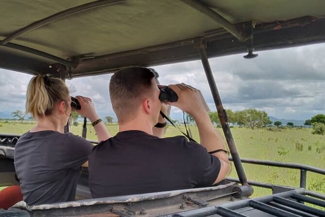 Private Full-Day Trip to Mikumi National Park from Dar es Salaam - Is $550 per person good value?