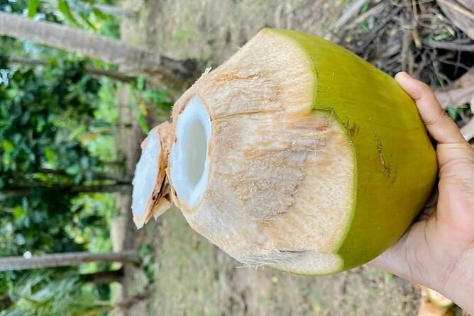 Private Full Day Trip to Stone Town, Spice Farms and Jozani Forest - Jozani Forest: red colobus monkeys and mangroves