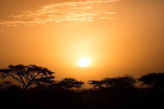 Private Group Serengeti Safari, Crater & Tarangire National Park - Day 3: descending into Ngorongoro Crater
