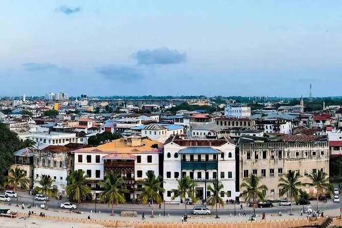 Private Half Day Stone Town Walking Tour - Key points at a glance