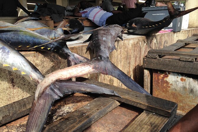 Private Insightful City Tour of Dar es Salaam - Kivukoni Fish Market and the life of the port