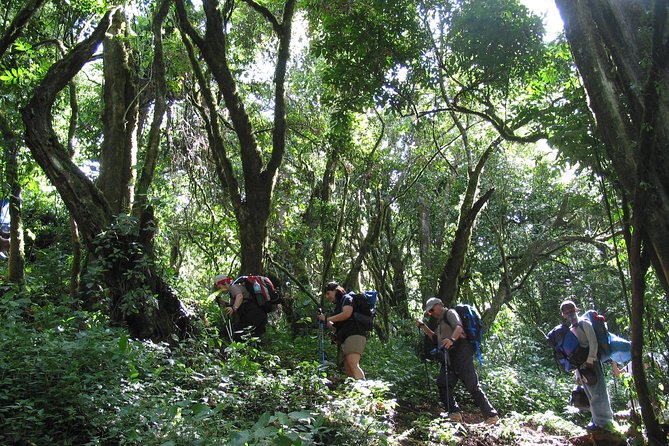 Private Kilimanjaro Climb - Any Route - 8 to 15+ Days - What summit day may feel like